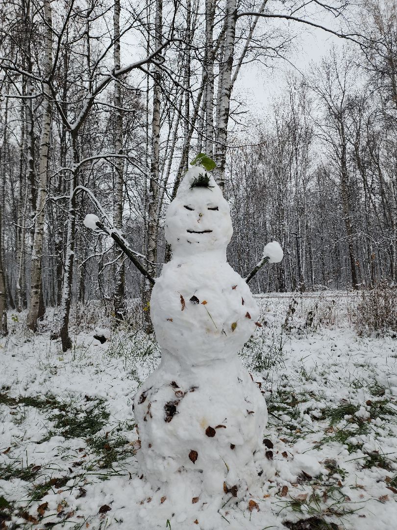 электросталь, жители города, день единства, праздник, первый снег, снеговик, снеговики, вертикалки
