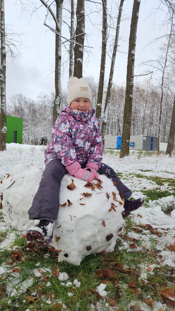 электросталь, жители города, день единства, праздник, первый снег, снеговик, снеговики, вертикалки