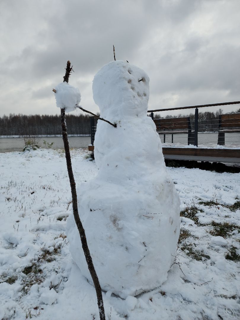 электросталь, жители города, день единства, праздник, первый снег, снеговик, снеговики, вертикалки