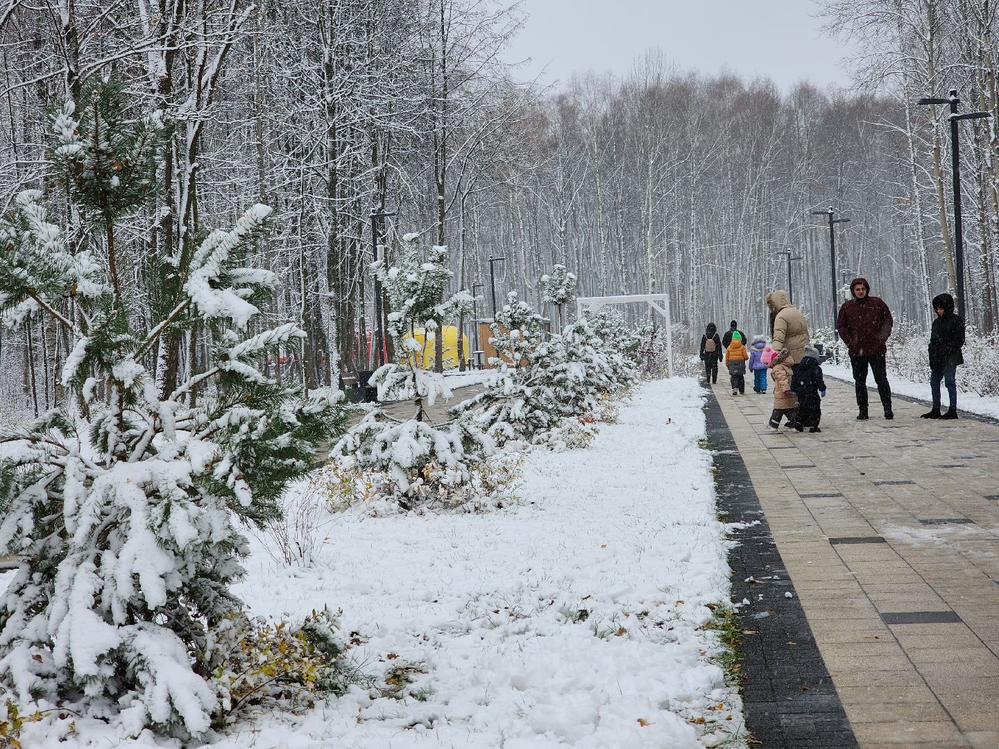 электросталь, жители города, день единства, праздник, первый снег, снеговик, снеговики, вертикалки