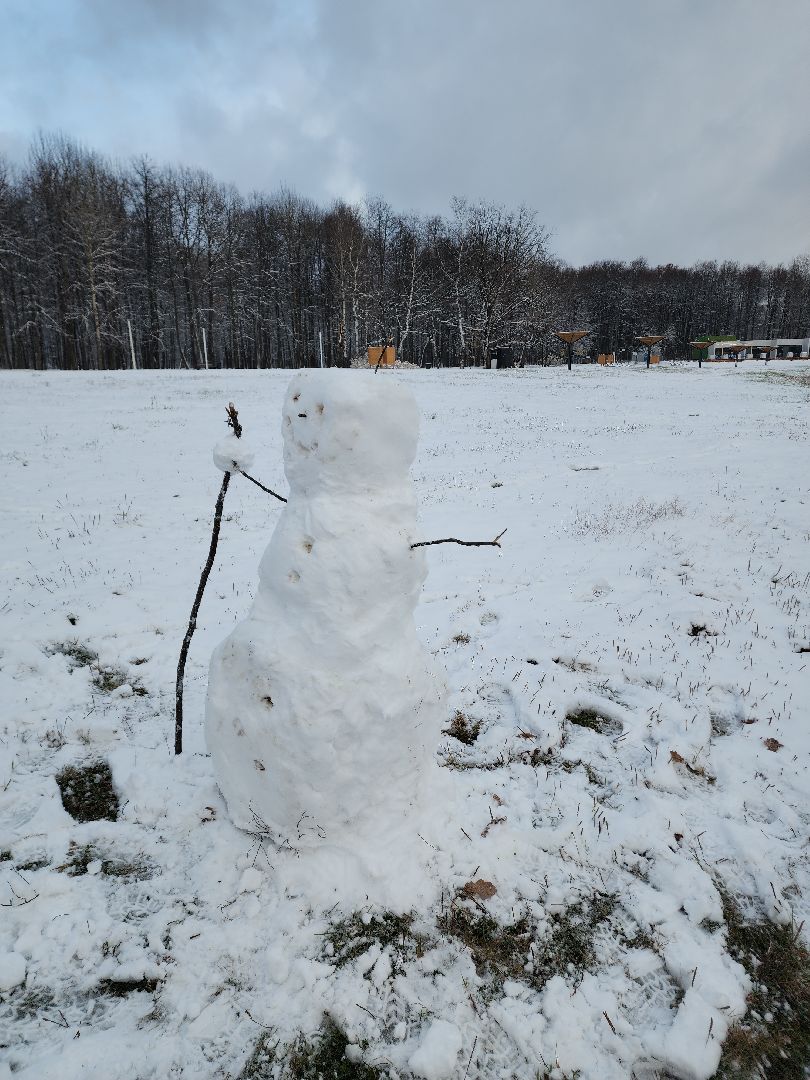 электросталь, жители города, день единства, праздник, первый снег, снеговик, снеговики, вертикалки