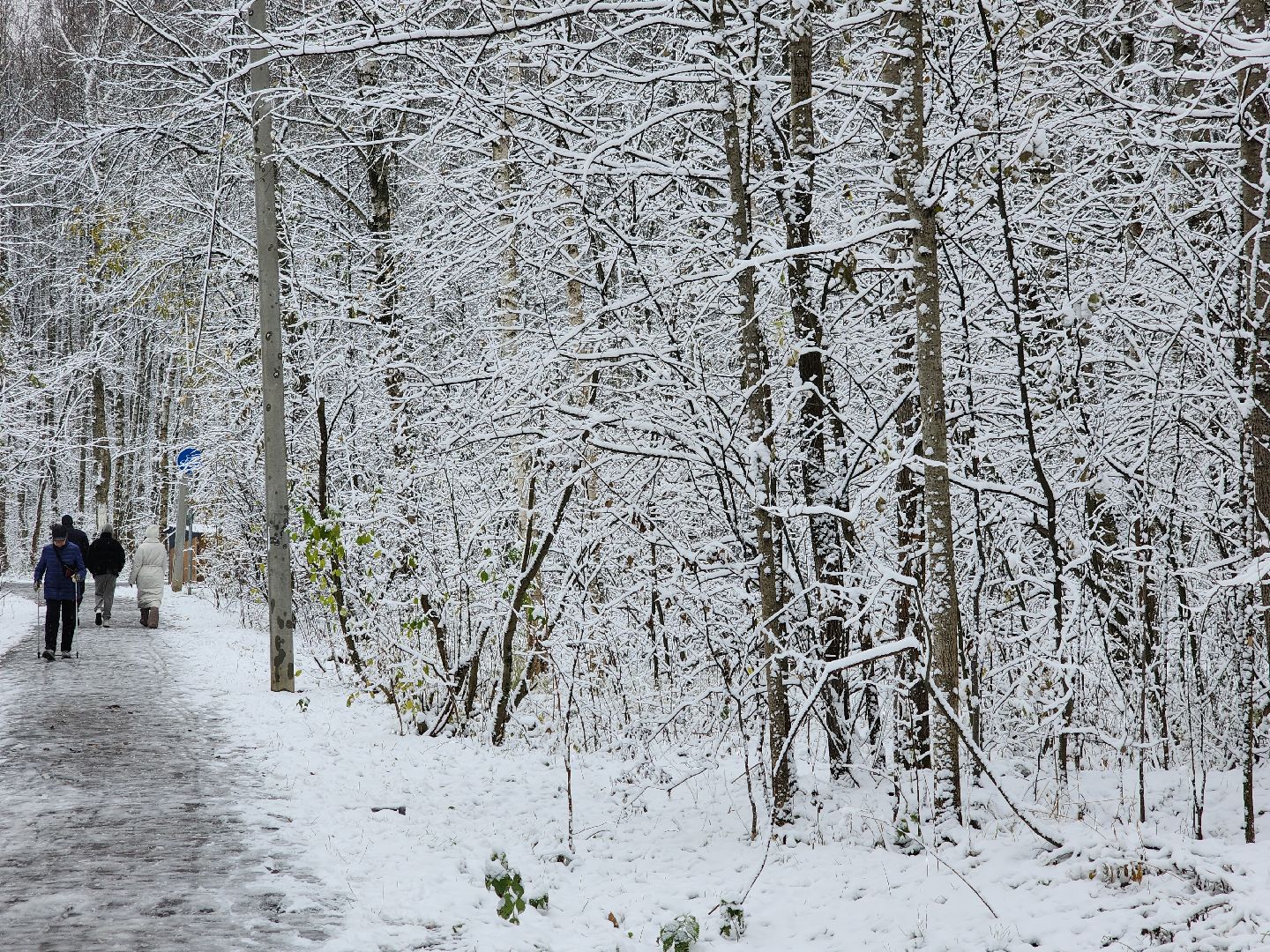электросталь, жители города, день единства, праздник, первый снег, снеговик, снеговики, вертикалки