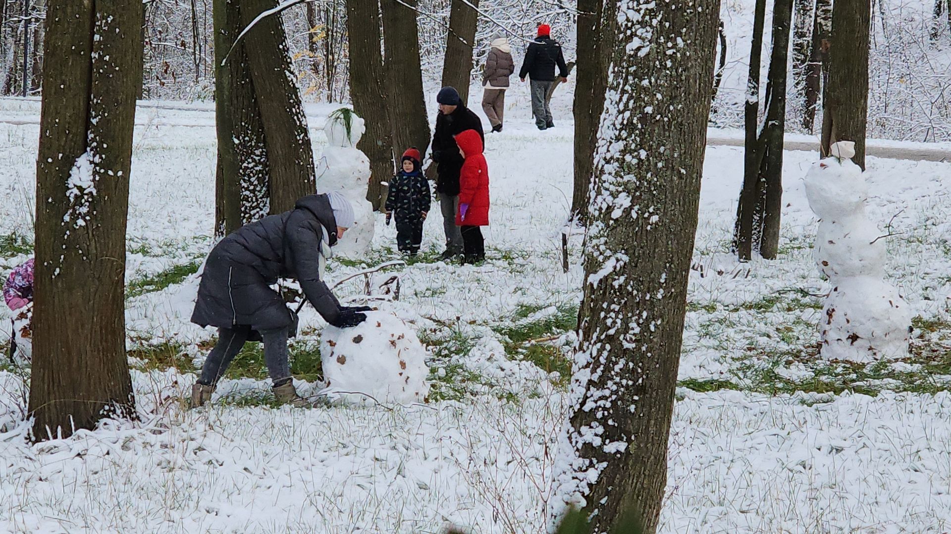 электросталь, жители города, день единства, праздник, первый снег, снеговик, снеговики, вертикалки