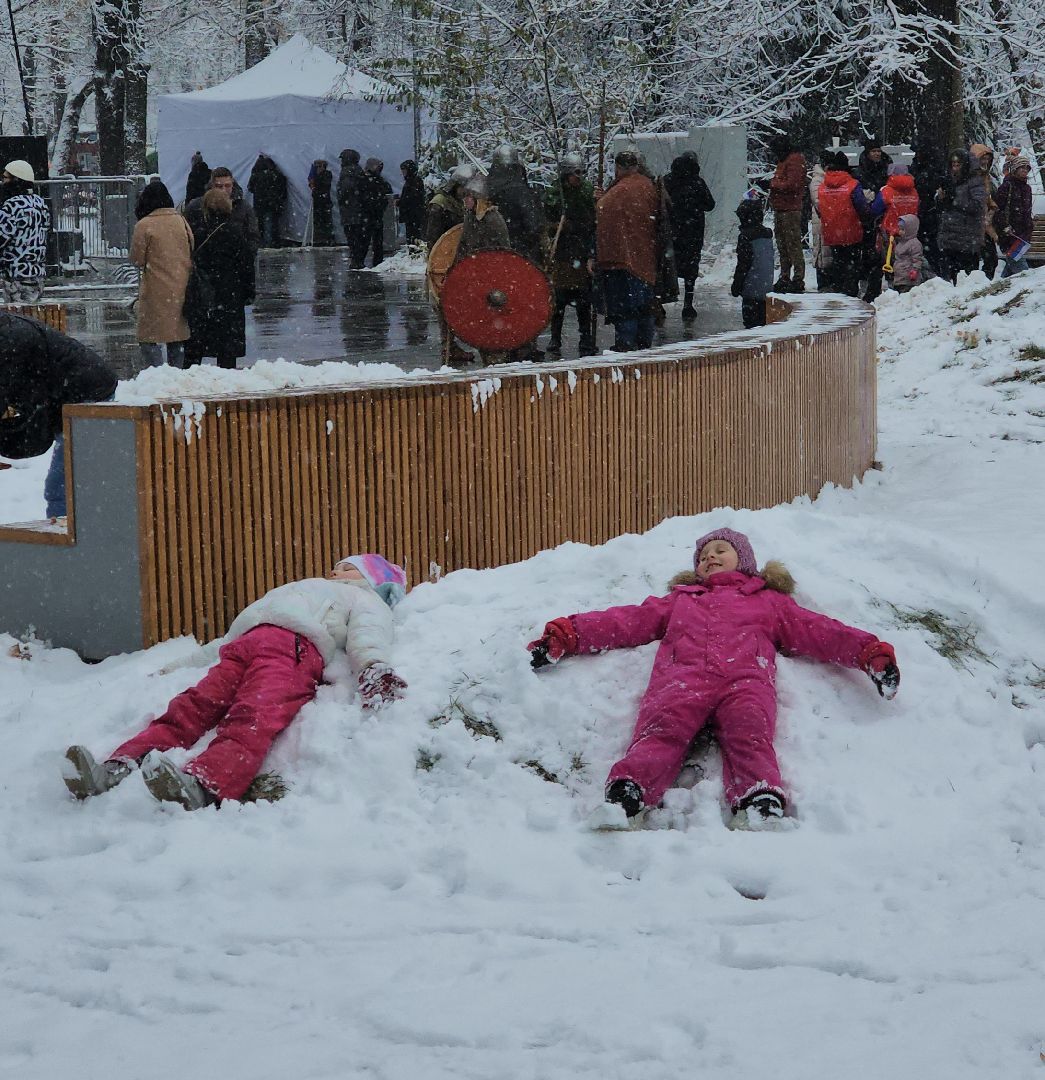 парки, день народного единства, культура, народы, концерт, вертикалка,