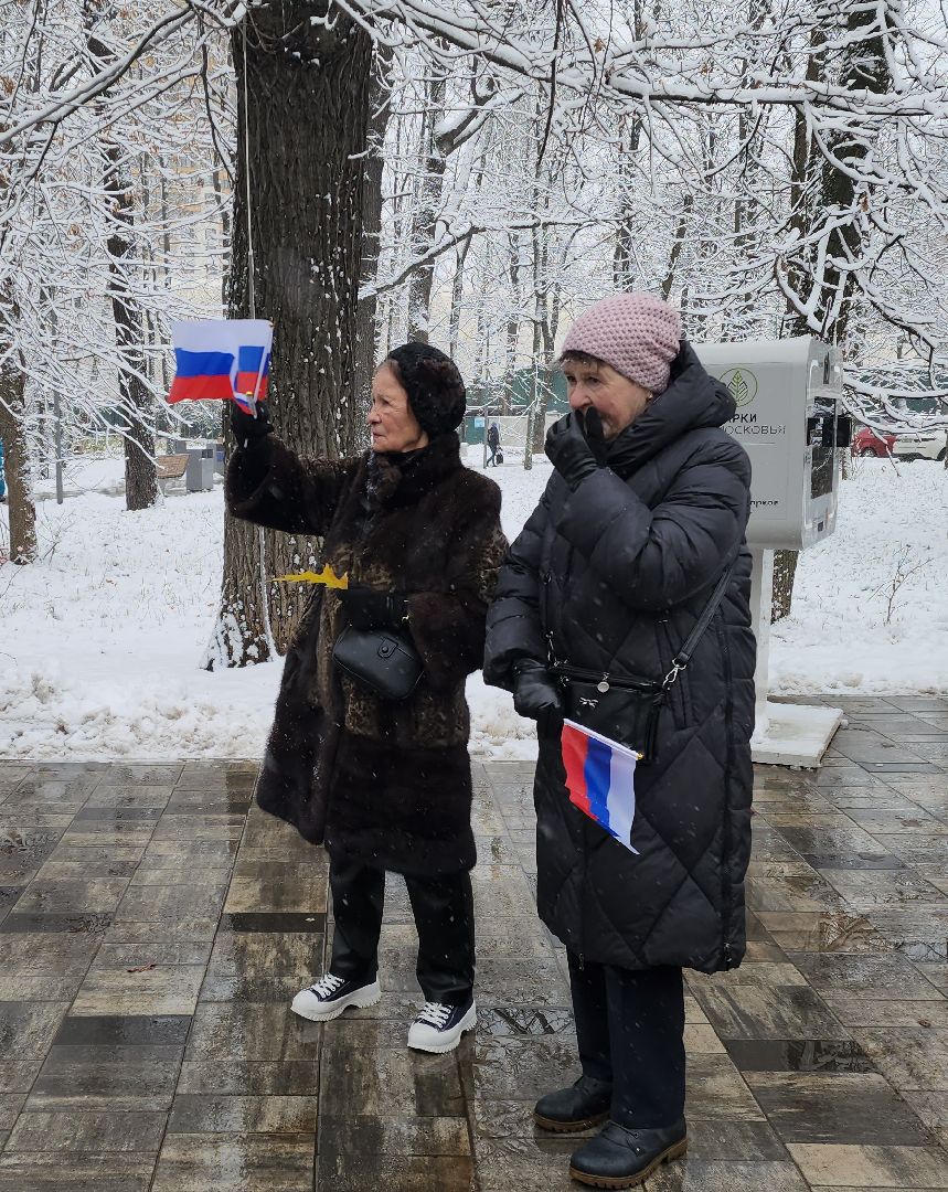 парки, день народного единства, культура, народы, концерт, вертикалка,