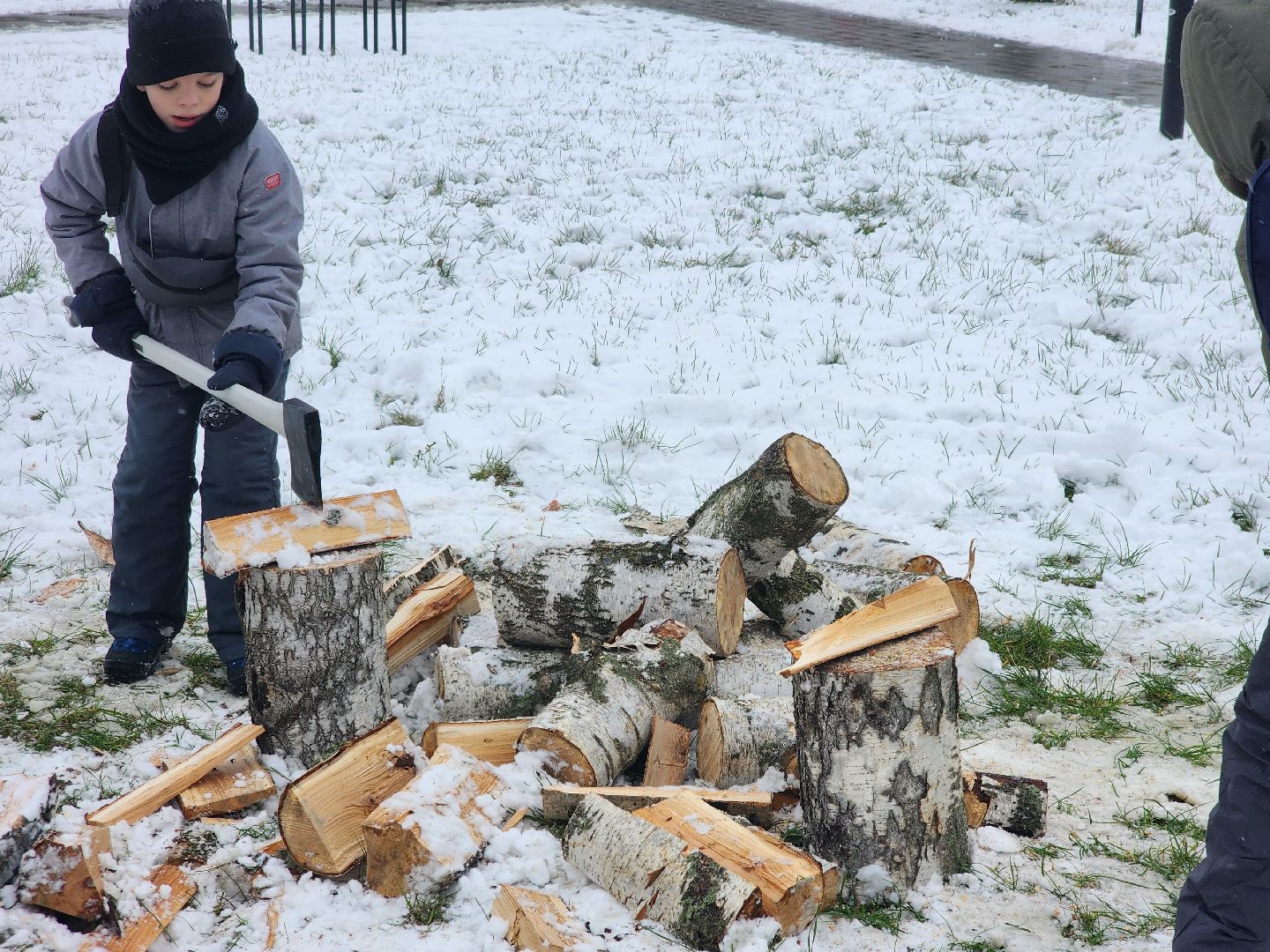 долгопрудный, день народного единства, вертикалка, парк
