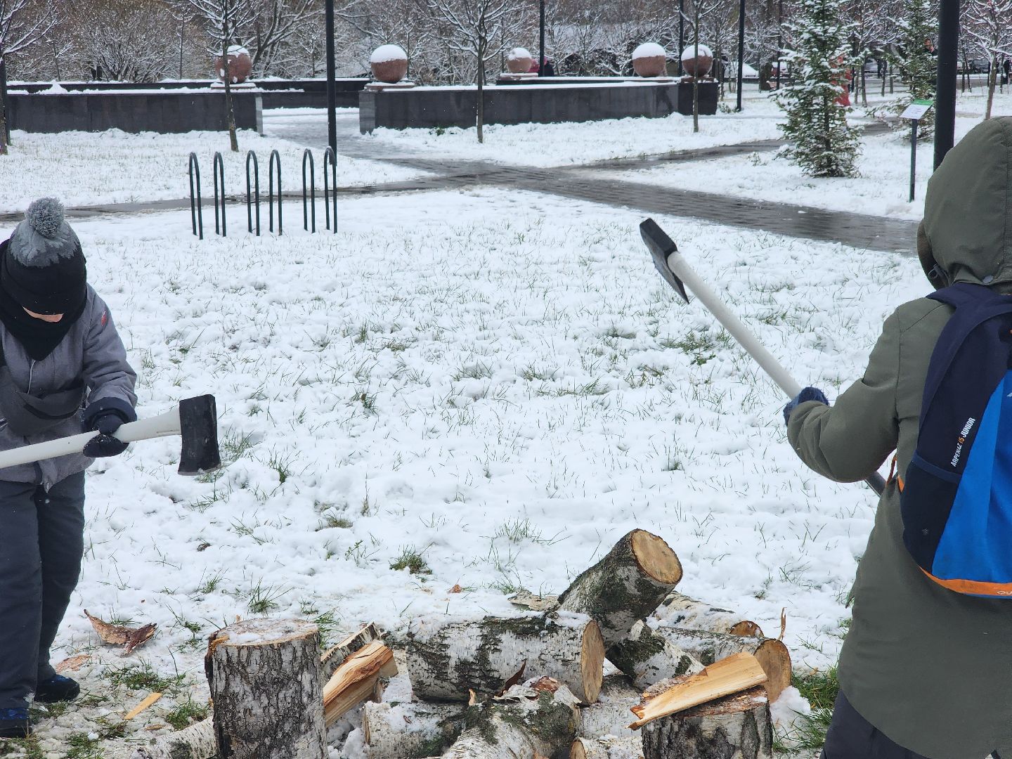 долгопрудный, день народного единства, вертикалка, парк