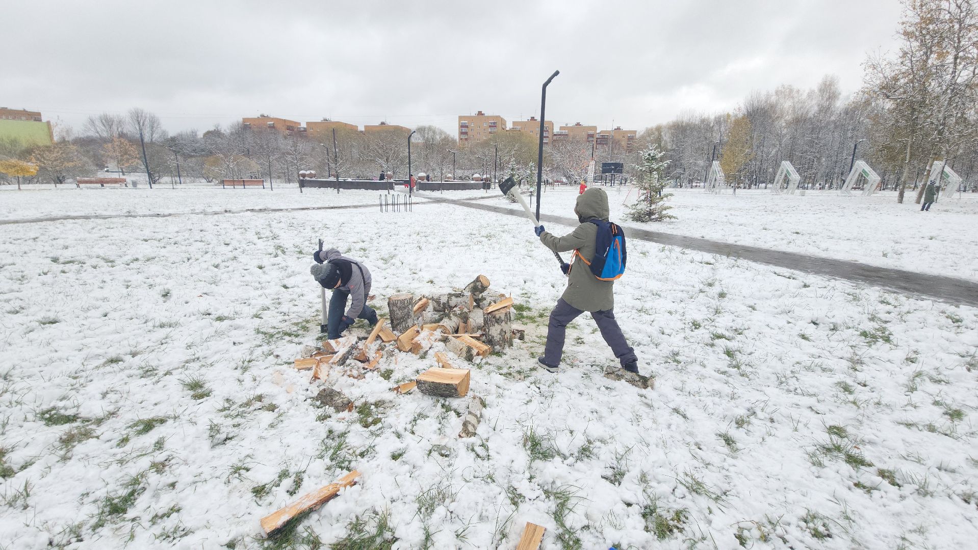долгопрудный, день народного единства, вертикалка, парк