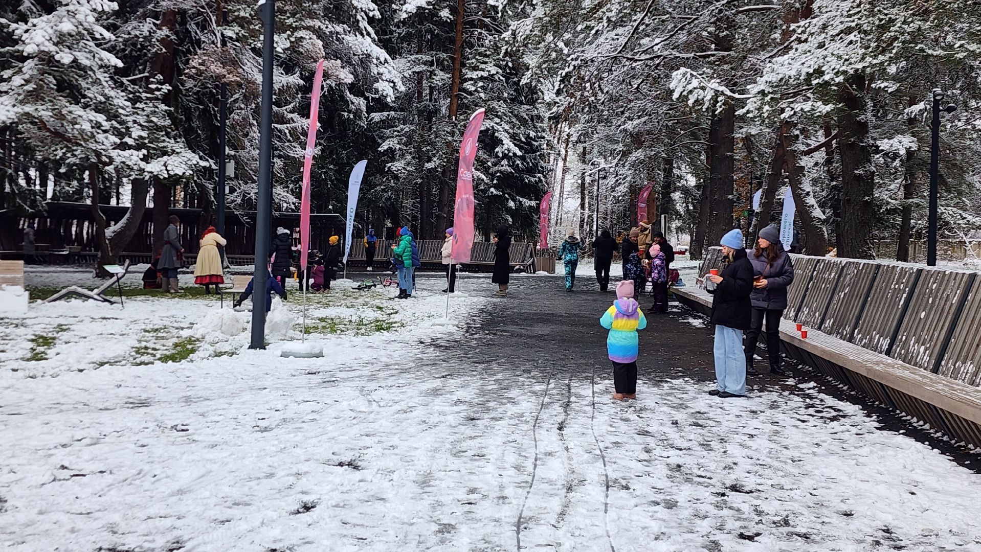 день народного единства, парки, праздник, лесопарк, истра, вертикалка,