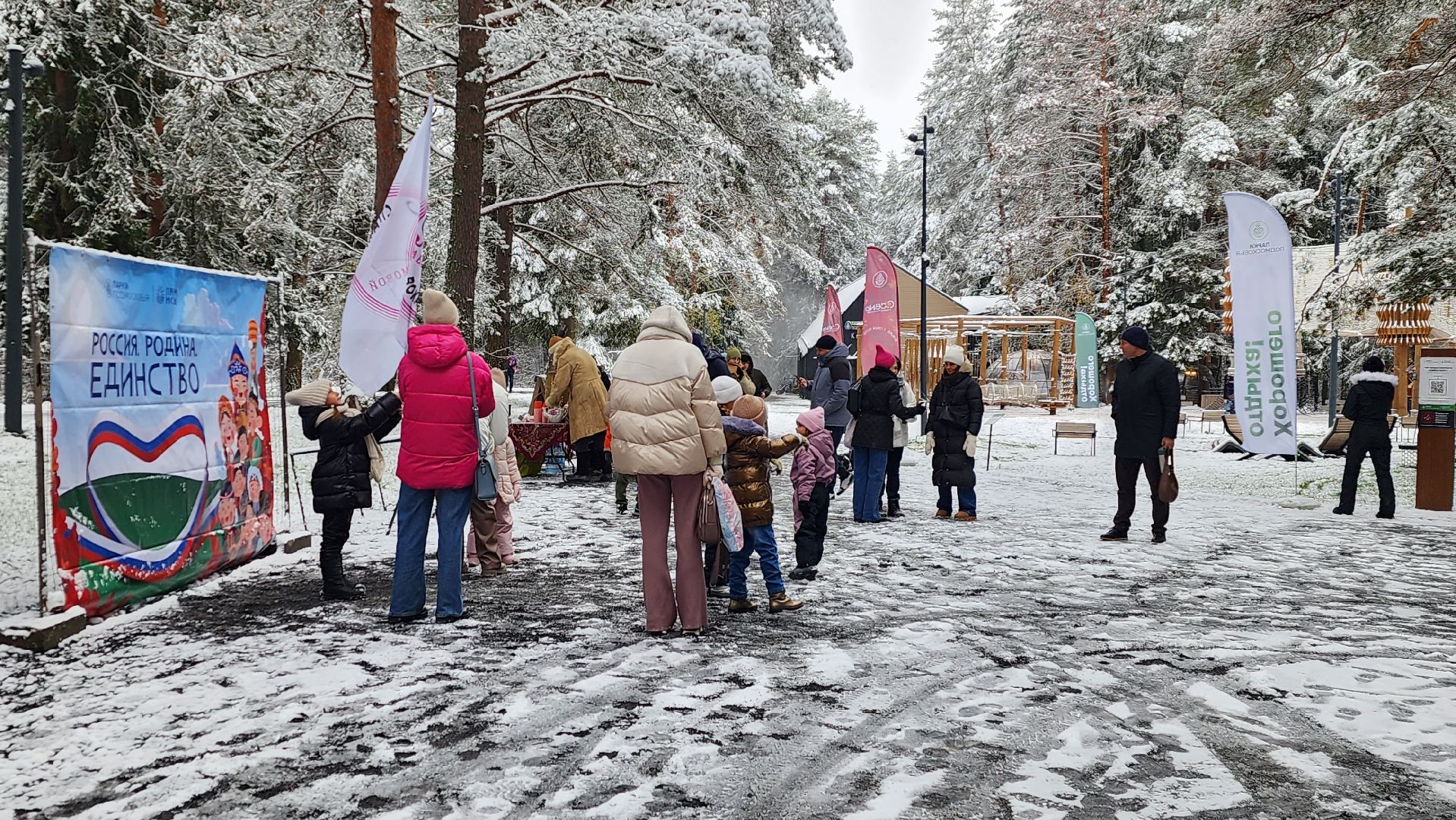 день народного единства, парки, праздник, лесопарк, истра, вертикалка,