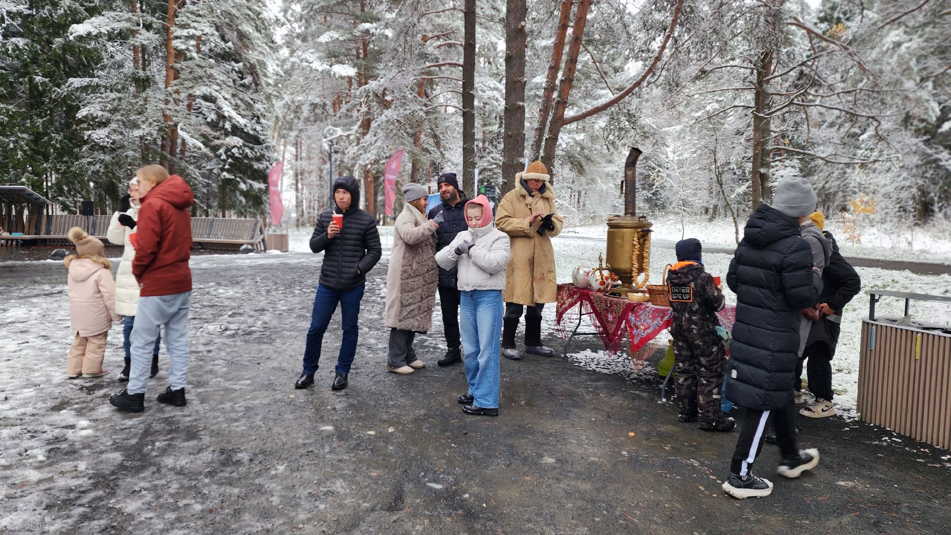 день народного единства, парки, праздник, лесопарк, истра, вертикалка,