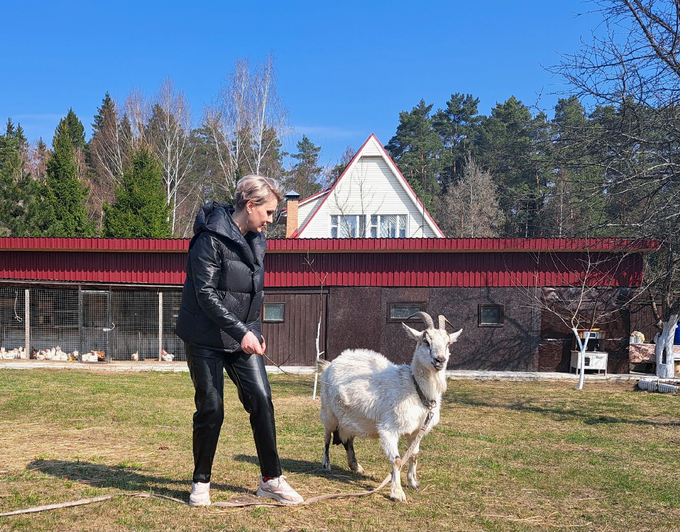 Газификация, Переезд, Социальная газификация