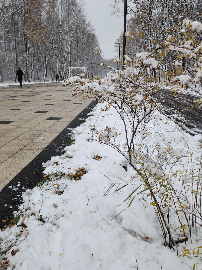 электросталь, мой город, парк авангард, день единства, праздник, концерт, концерт в парке, творческие коллективы, вертикалки