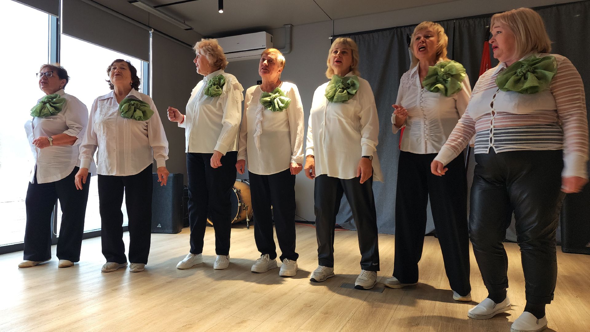 электросталь, мой город, парк авангард, день единства, праздник, концерт, концерт в парке, творческие коллективы, вертикалки