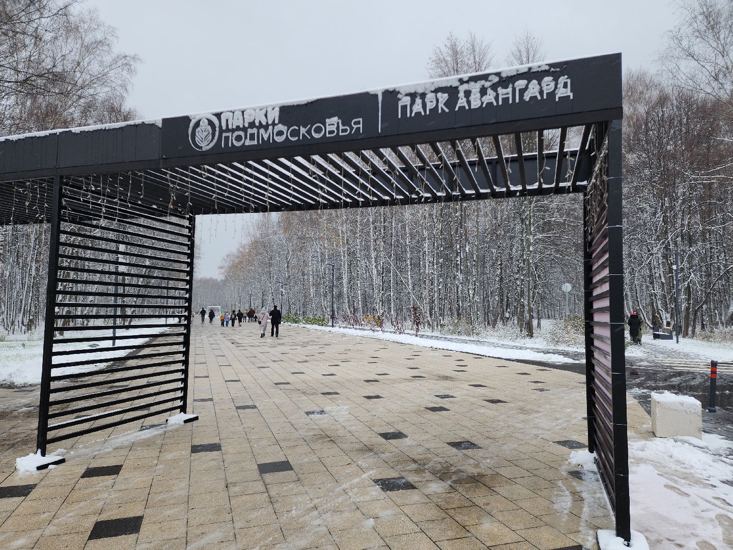 электросталь, мой город, парк авангард, день единства, праздник, концерт, концерт в парке, творческие коллективы, вертикалки