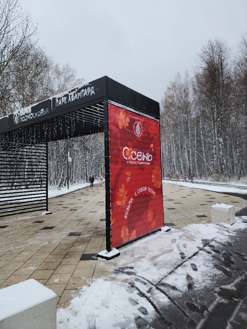 электросталь, мой город, парк авангард, день единства, праздник, концерт, концерт в парке, творческие коллективы, вертикалки