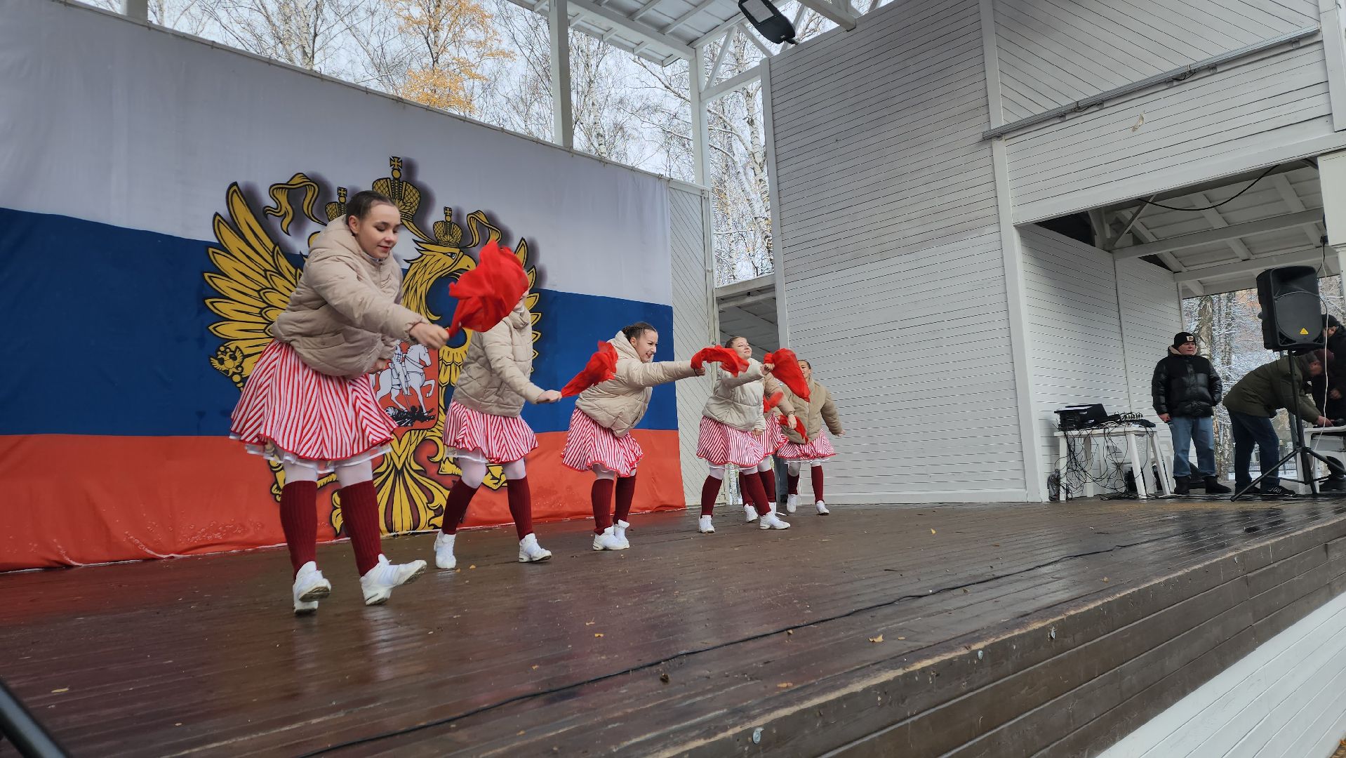 пушкино, центральный парк, праздничный концерт, национальные блюда, русские традиции, казачьи песни, день народного единства, вертикалки,