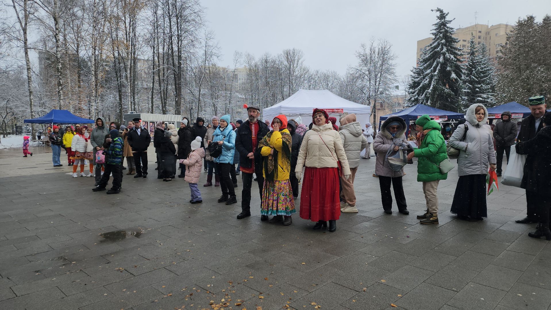пушкино, центральный парк, праздничный концерт, национальные блюда, русские традиции, казачьи песни, день народного единства, вертикалки,