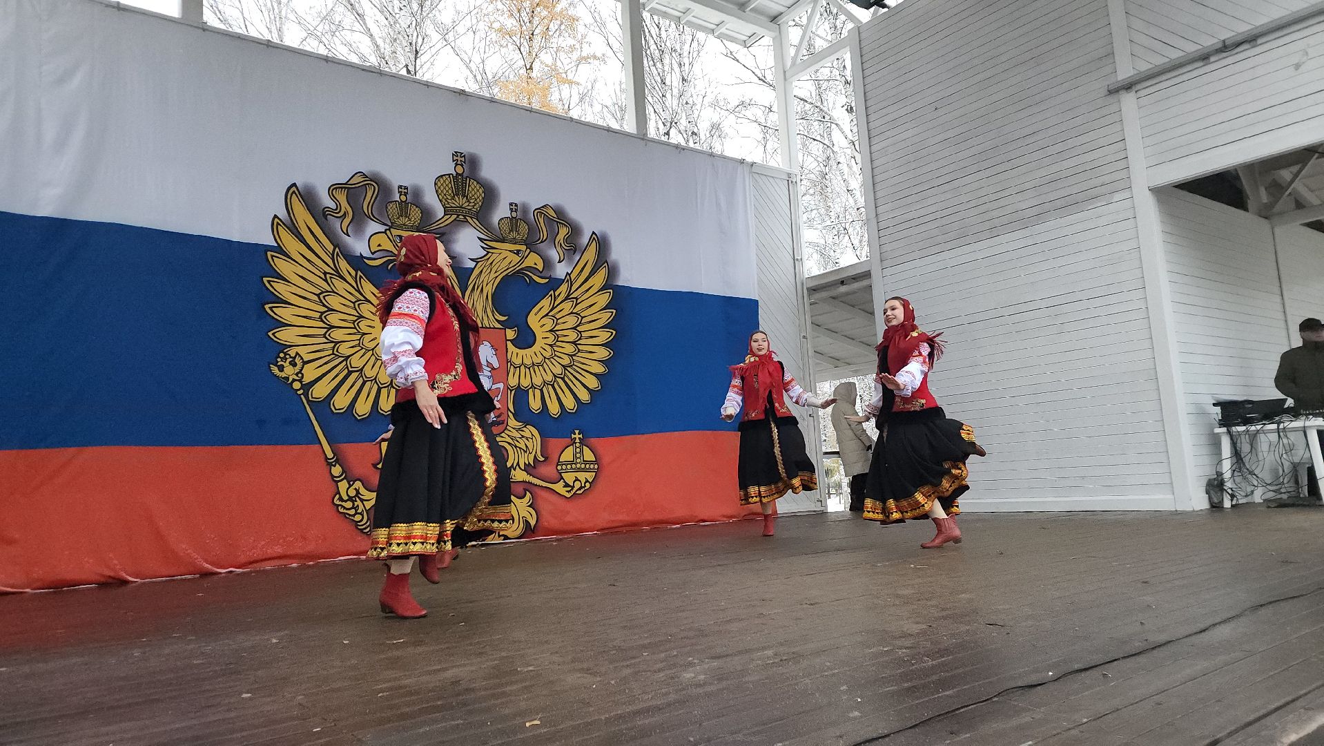 пушкино, центральный парк, праздничный концерт, национальные блюда, русские традиции, казачьи песни, день народного единства, вертикалки,