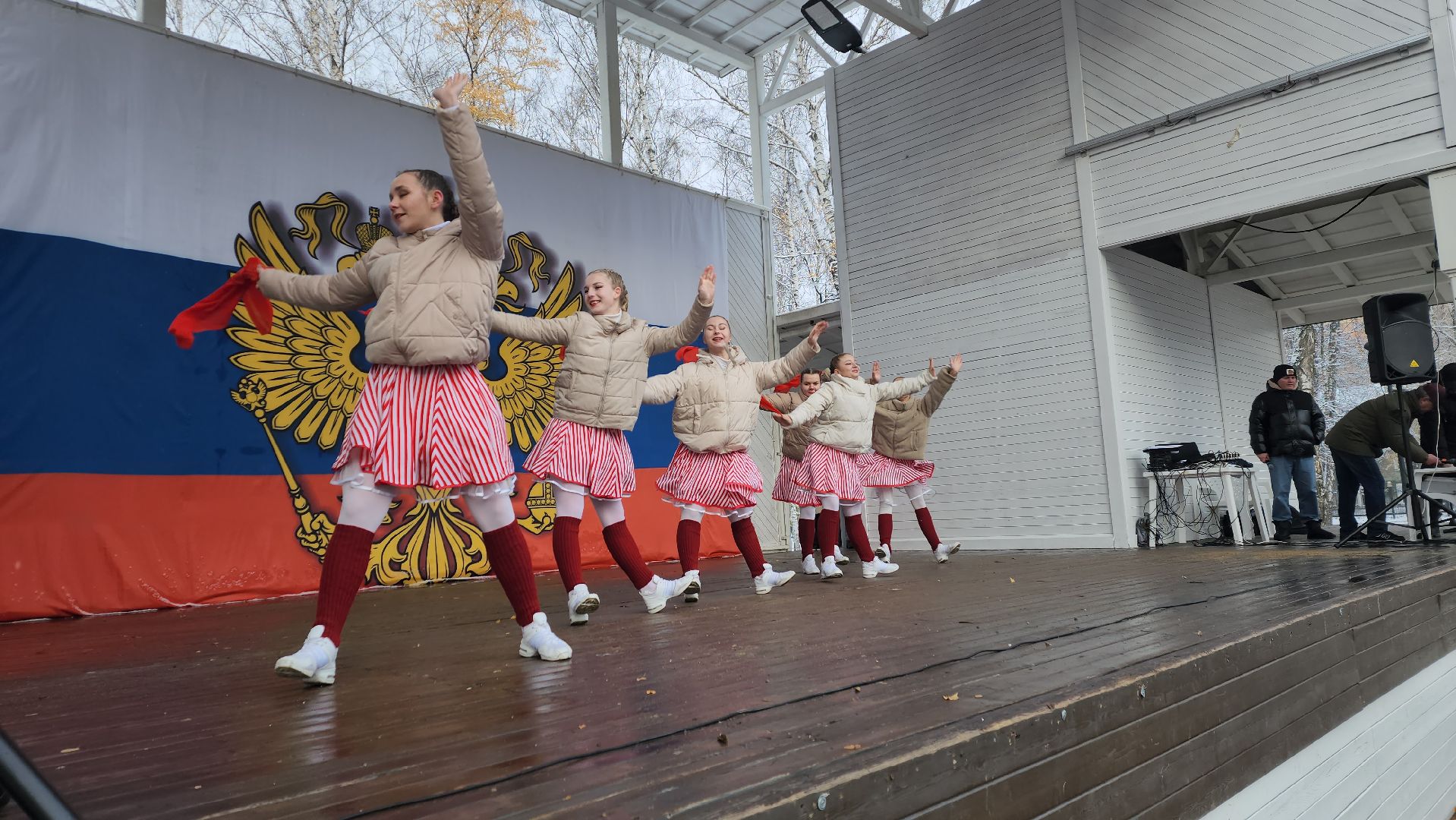 пушкино, центральный парк, праздничный концерт, национальные блюда, русские традиции, казачьи песни, день народного единства, вертикалки,