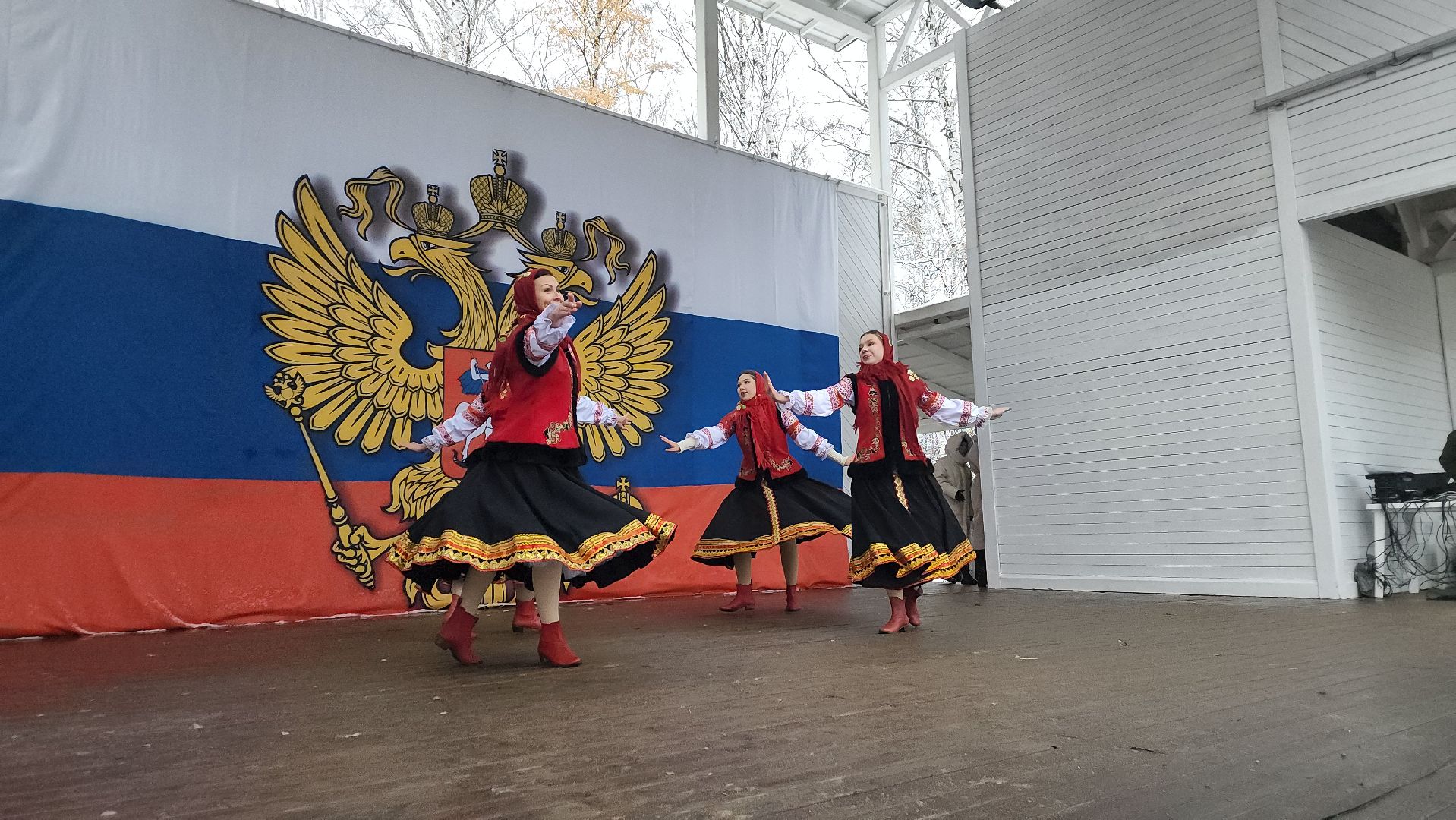 пушкино, центральный парк, праздничный концерт, национальные блюда, русские традиции, казачьи песни, день народного единства, вертикалки,