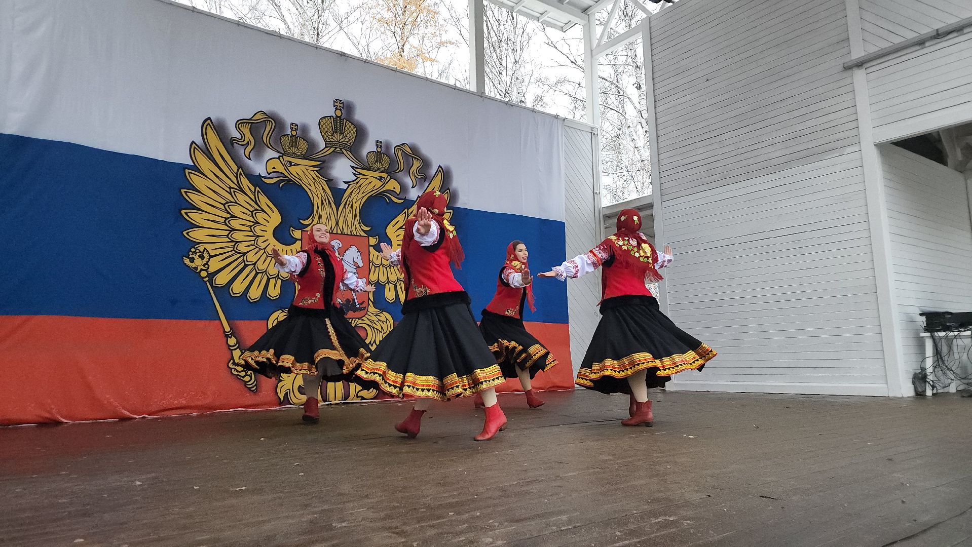 пушкино, центральный парк, праздничный концерт, национальные блюда, русские традиции, казачьи песни, день народного единства, вертикалки,