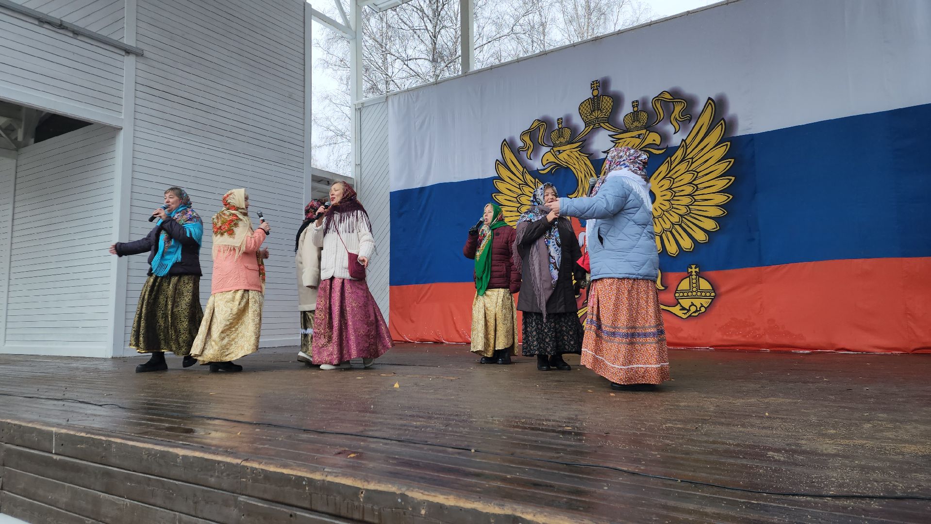 пушкино, центральный парк, праздничный концерт, национальные блюда, русские традиции, казачьи песни, день народного единства, вертикалки,