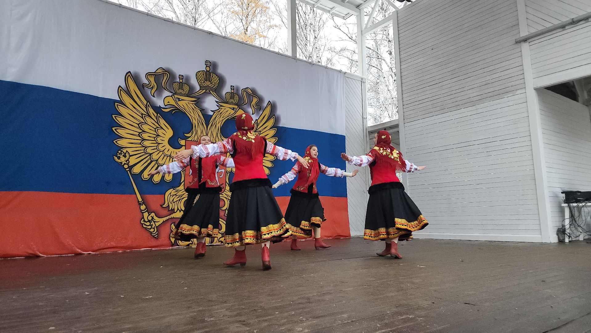 пушкино, центральный парк, праздничный концерт, национальные блюда, русские традиции, казачьи песни, день народного единства, вертикалки,