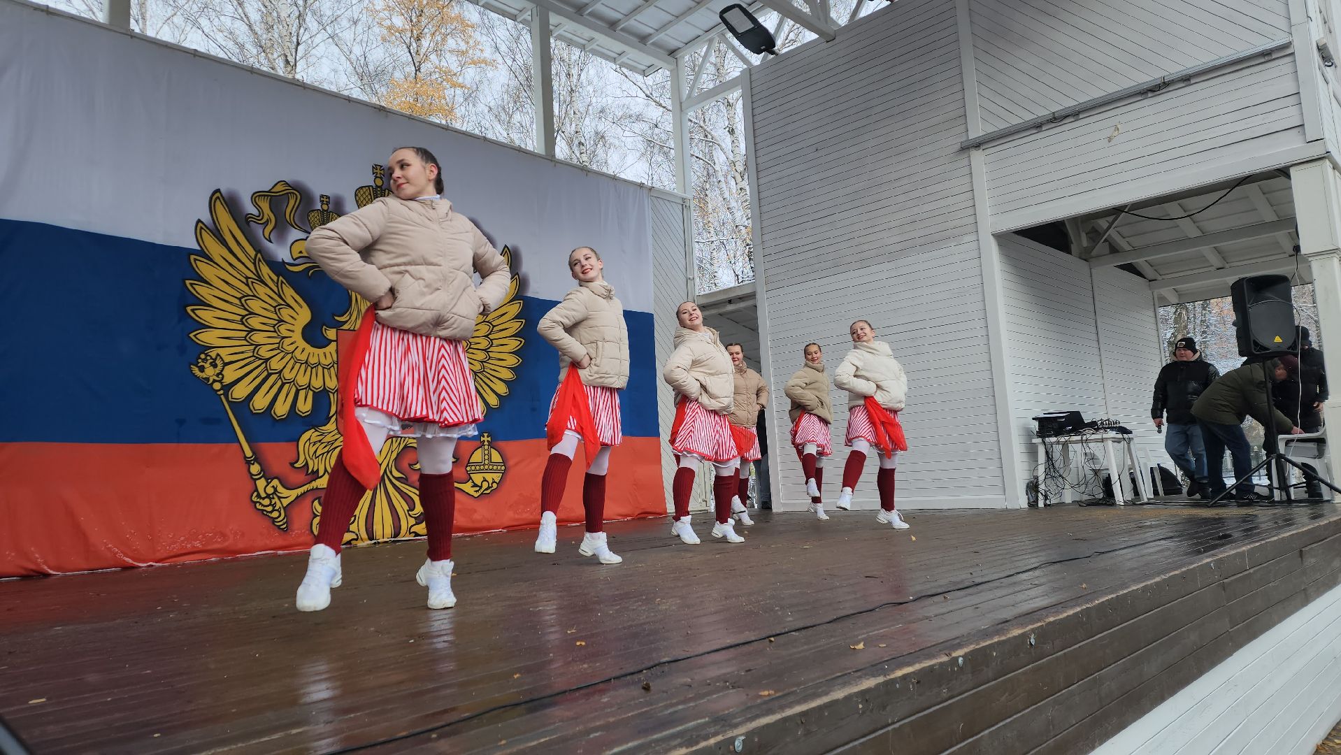 пушкино, центральный парк, праздничный концерт, национальные блюда, русские традиции, казачьи песни, день народного единства, вертикалки,