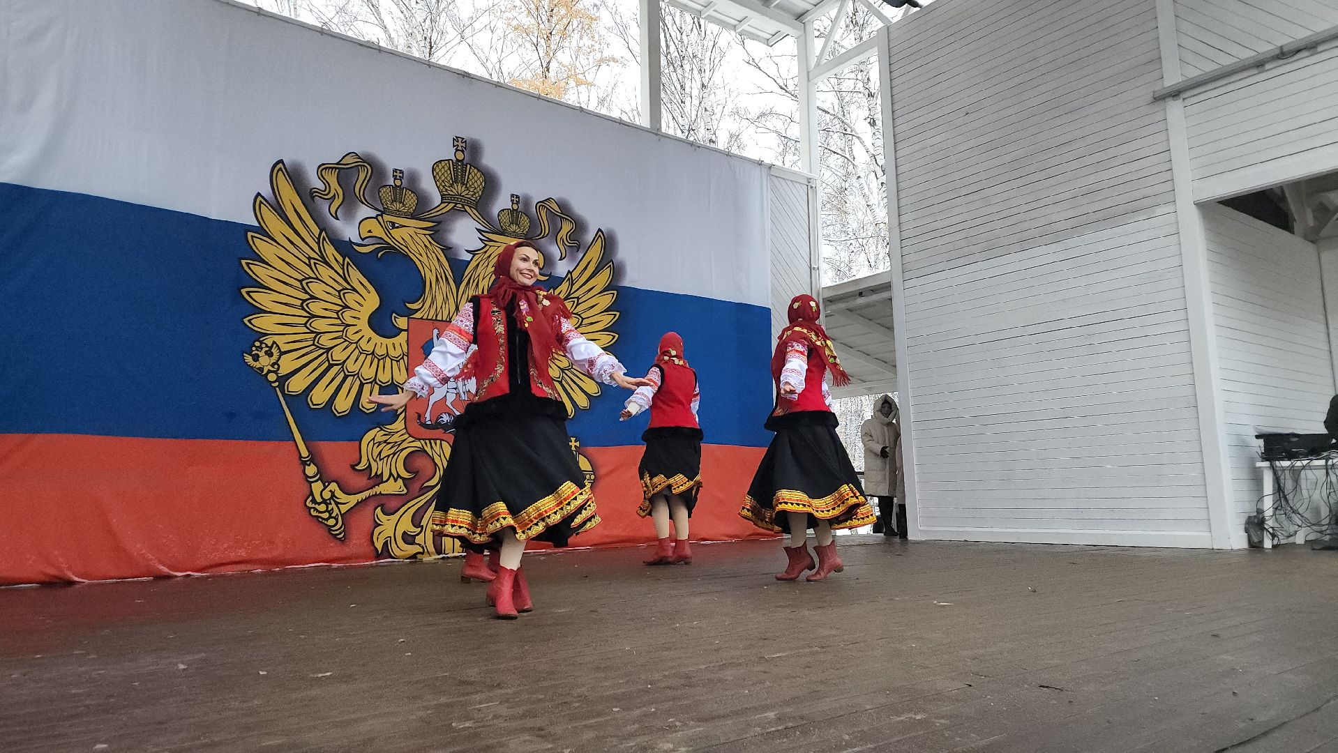 пушкино, центральный парк, праздничный концерт, национальные блюда, русские традиции, казачьи песни, день народного единства, вертикалки,