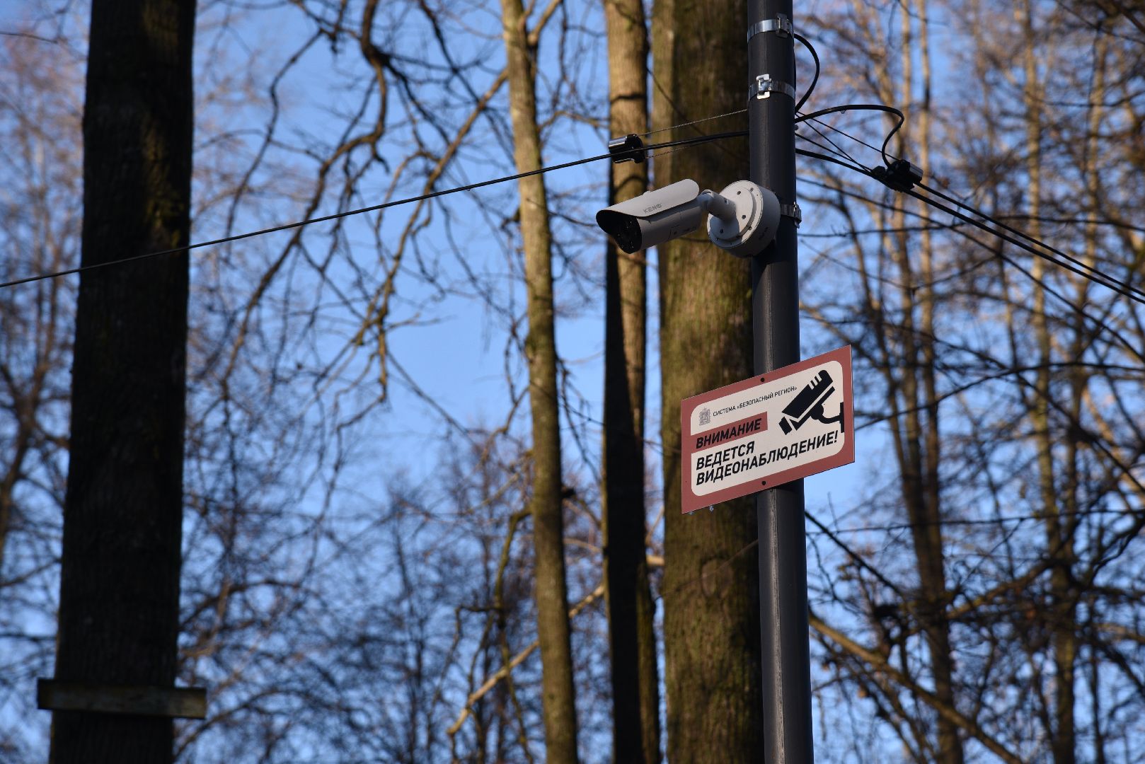 лотошино, лотошинский парк, парки подмосковья, благоустройство, детская игровая площадка, вертикалки,