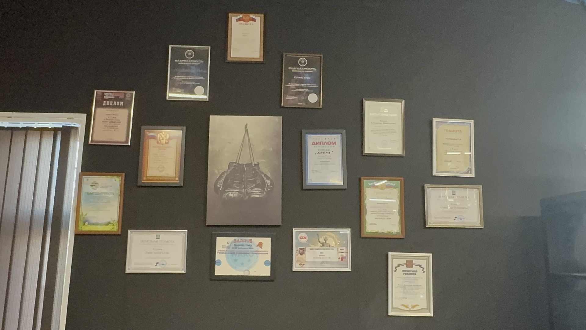 Вертикалки, Солнечногорск, Кикбоксинг, Чемпион мира, Спорт, дети,