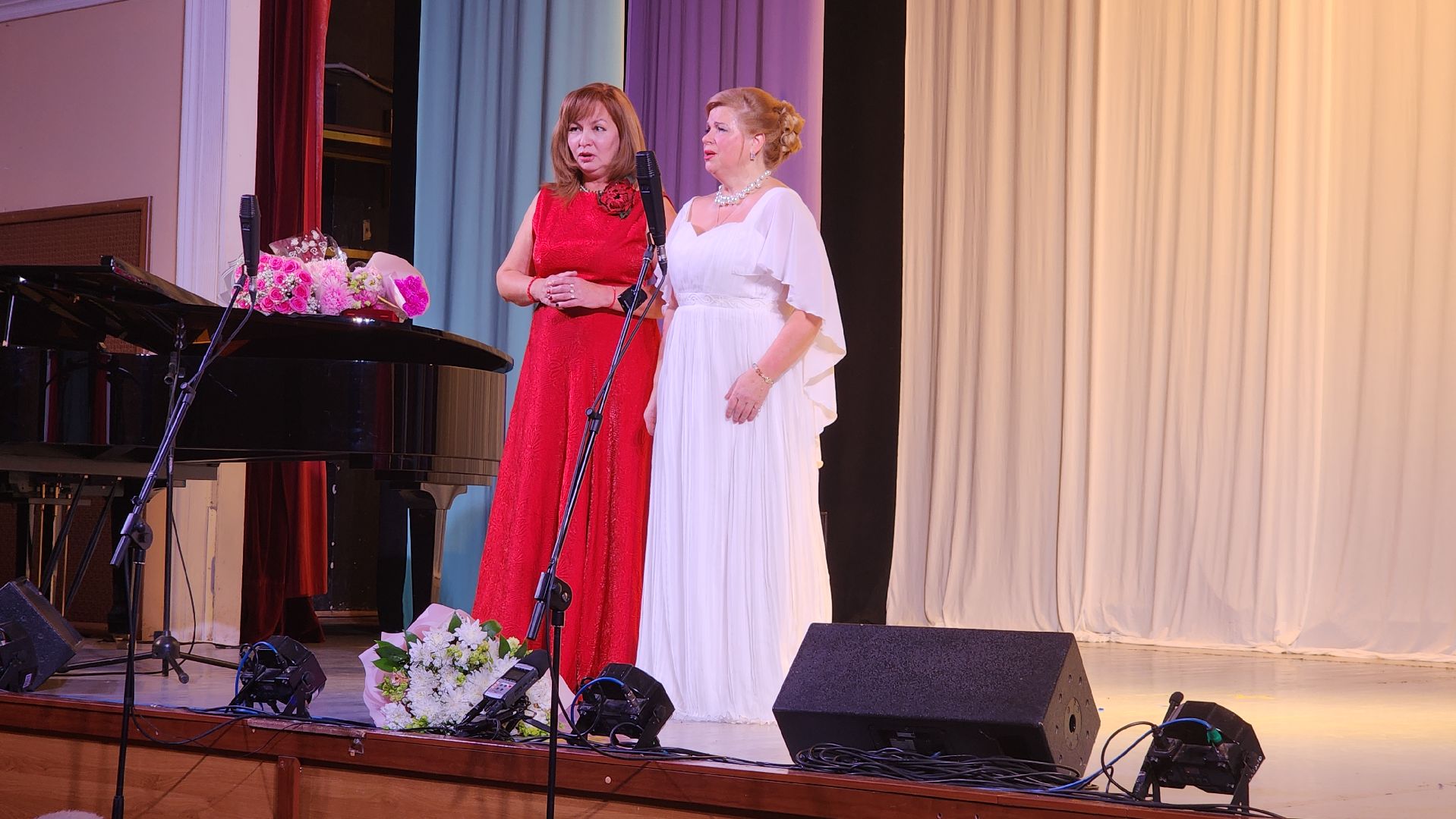 вертикалка, пушкино, юбилей, певица, опера, театр, артисты, концерт,