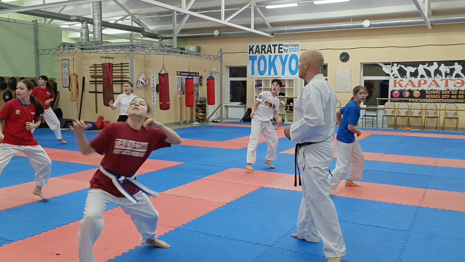 карате, лобня, спорт,