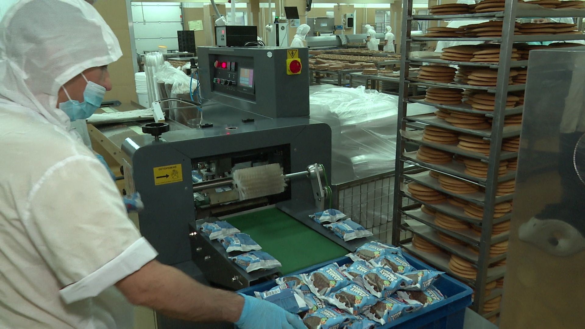 Реутов, вертикалки, экономика, У Палыча, сладкий бургер, творог и молоко, продукция года,