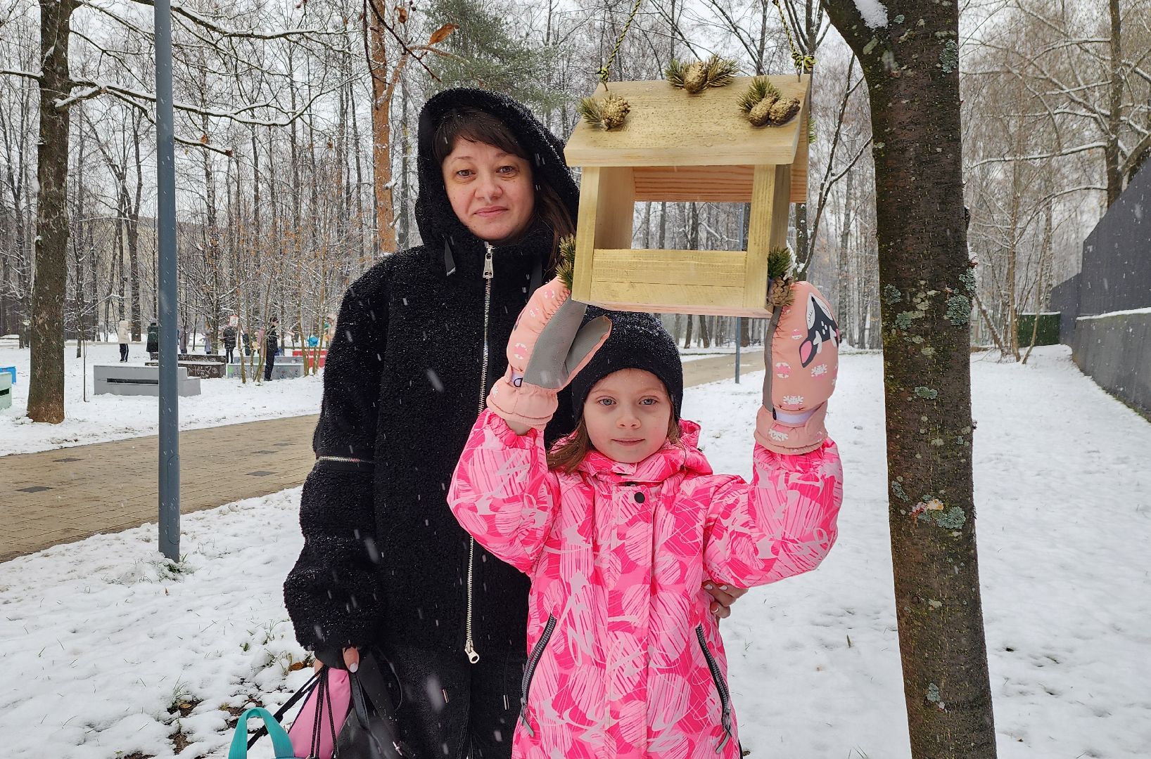 Солнечногорск, вертикалки, уличное освещение, добродел,