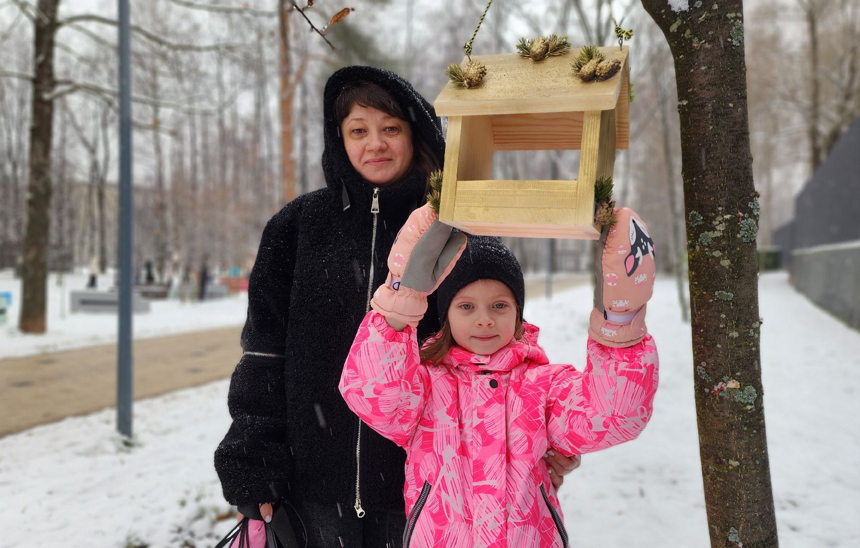 Солнечногорск, вертикалки, уличное освещение, добродел,