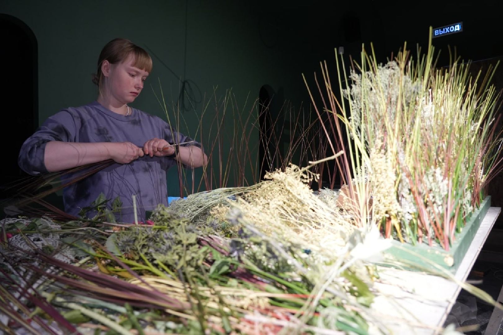 Культура, Сергиево-Посадский музей-заповедник, Выставка, Музеи, Сергиев Посад,вертикалки,