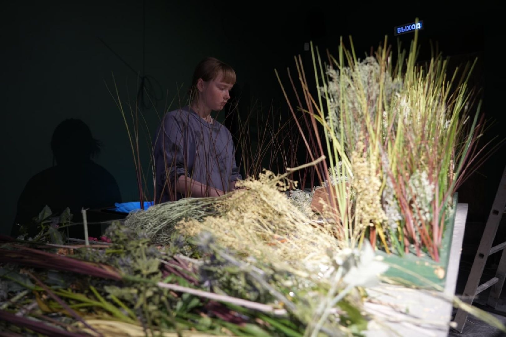 Культура, Сергиево-Посадский музей-заповедник, Выставка, Музеи, Сергиев Посад,вертикалки,