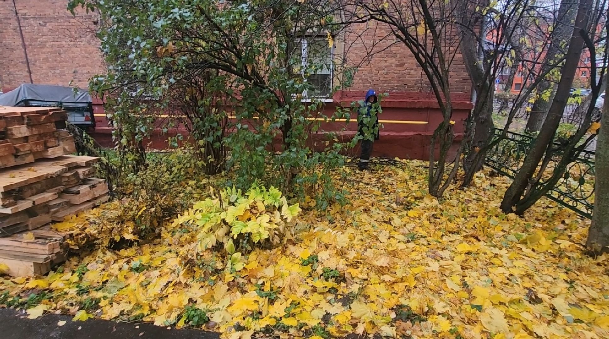 долгопрудный, первомайская, Октябрьская, Старый город, капитальный ремонт домов, вертикалка,