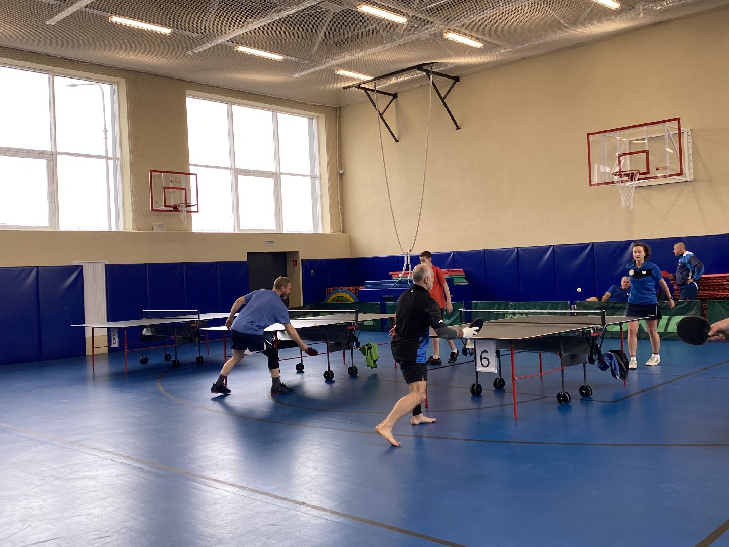 Турнир, Настольный теннис, Кубок, Спорт,