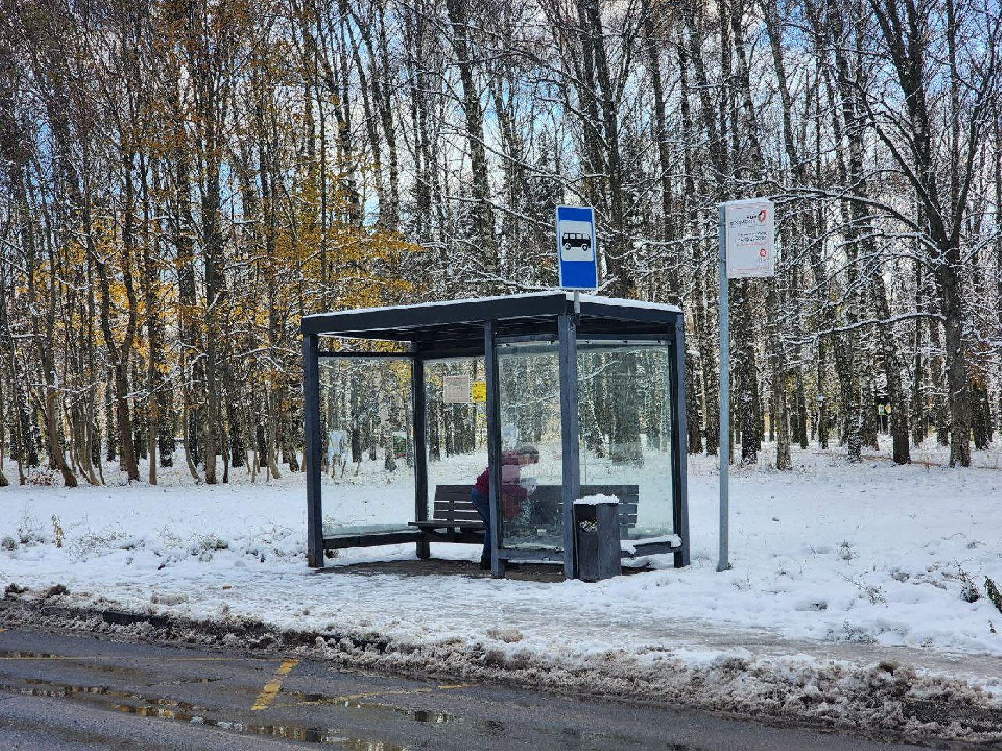 пущино, мосавтодор, мострансавто, серпухов, минтранс, вертикалки,