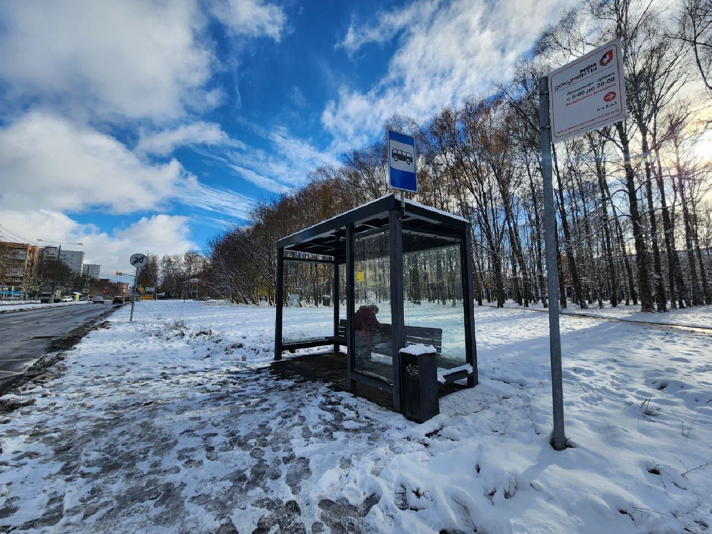 пущино, мосавтодор, мострансавто, серпухов, минтранс, вертикалки,