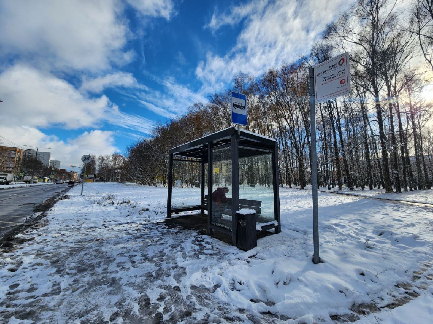 пущино, мосавтодор, мострансавто, серпухов, минтранс, вертикалки,