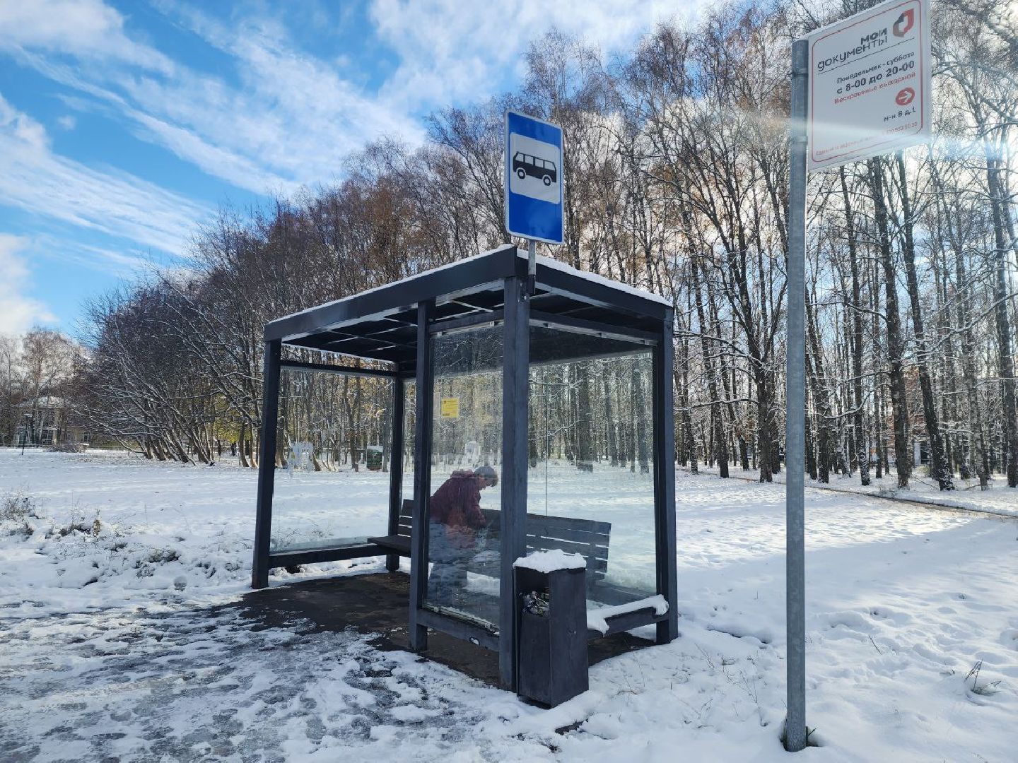 пущино, мосавтодор, мострансавто, серпухов, минтранс, вертикалки,