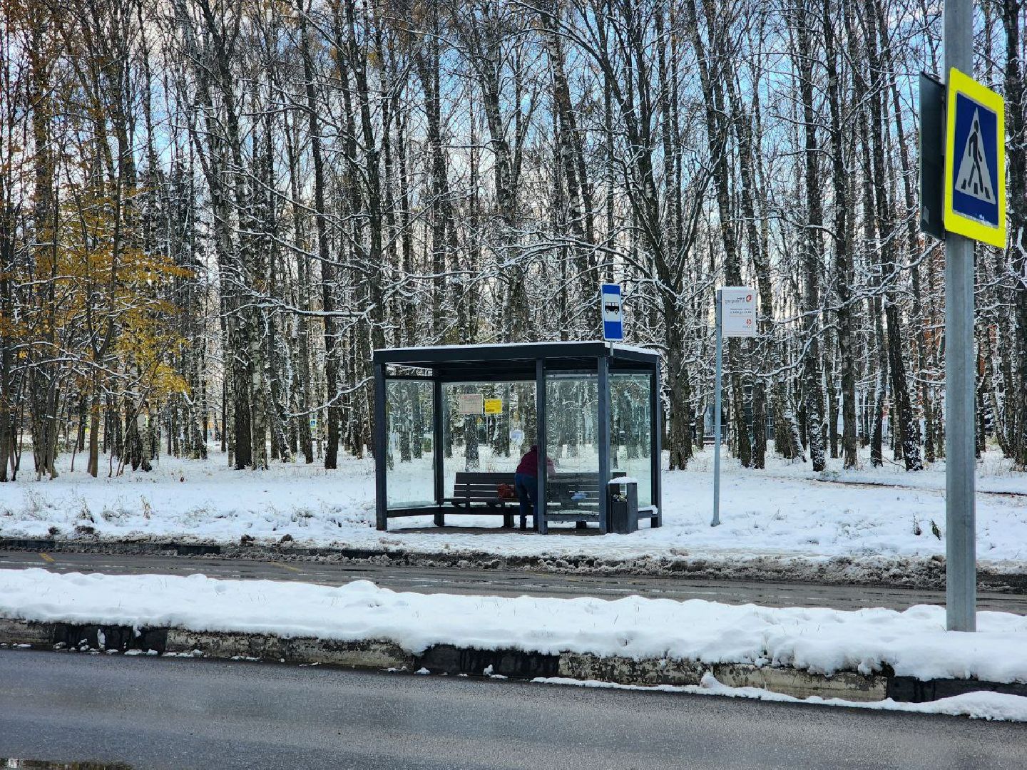 пущино, мосавтодор, мострансавто, серпухов, минтранс, вертикалки,