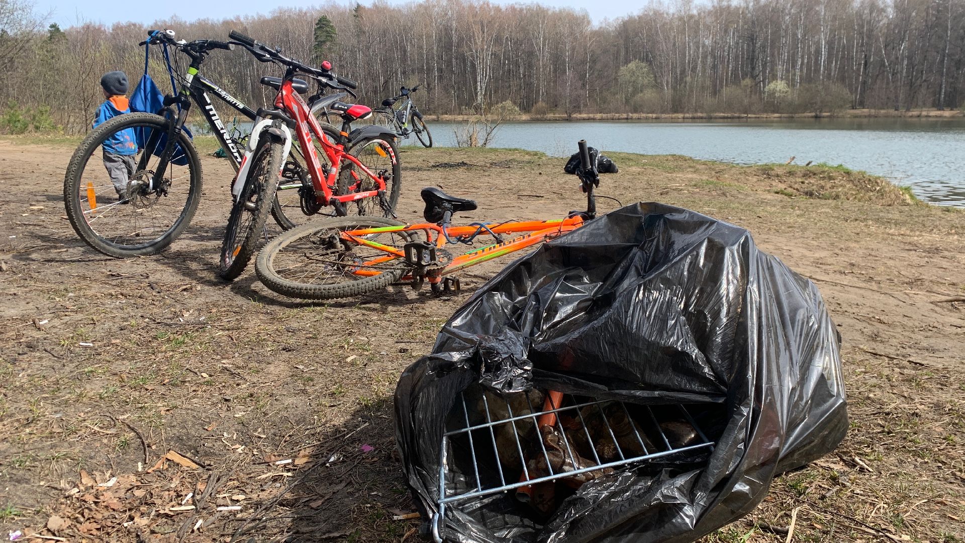 Ступино, островок, Зеленый остров, экология, инициативы