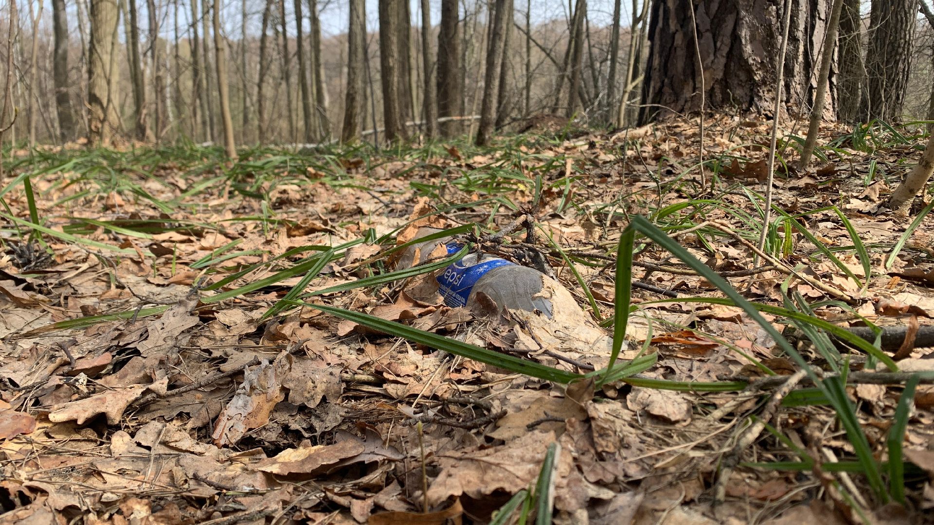 Ступино, островок, Зеленый остров, экология, инициативы