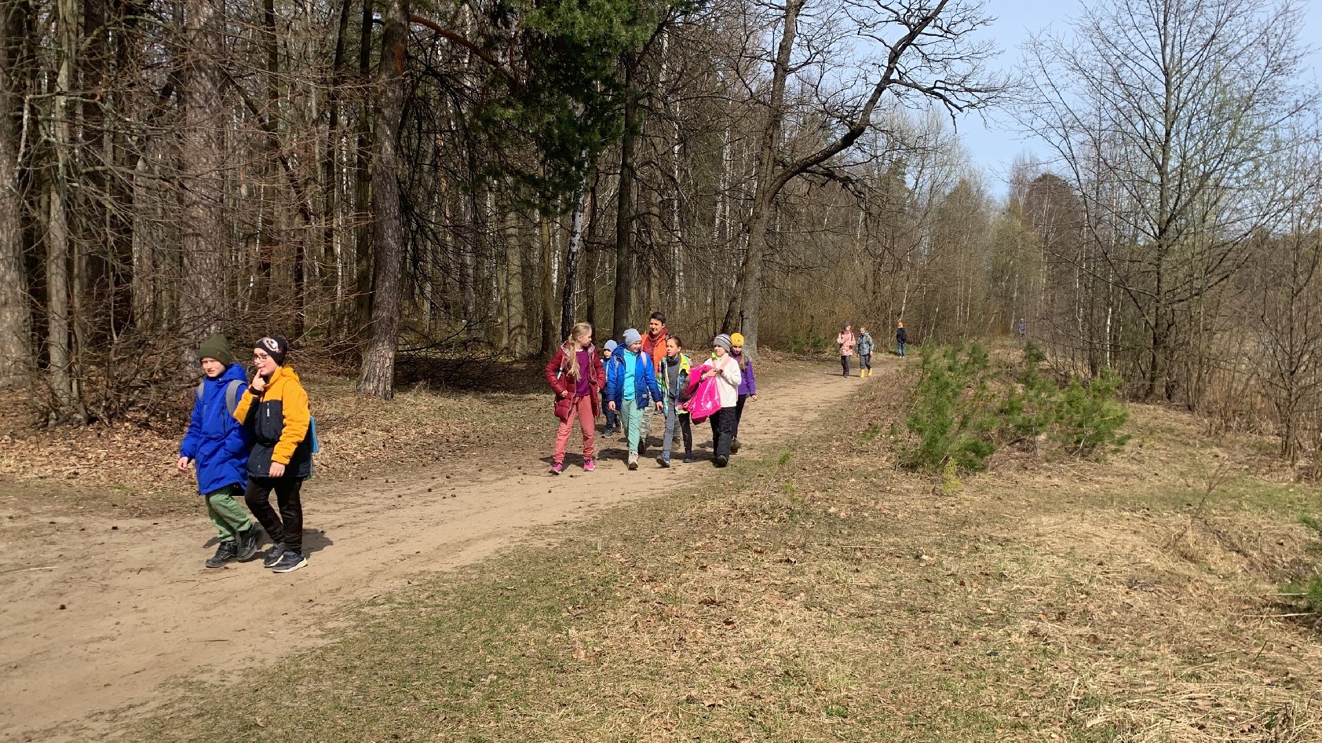 Ступино, островок, Зеленый остров, экология, инициативы