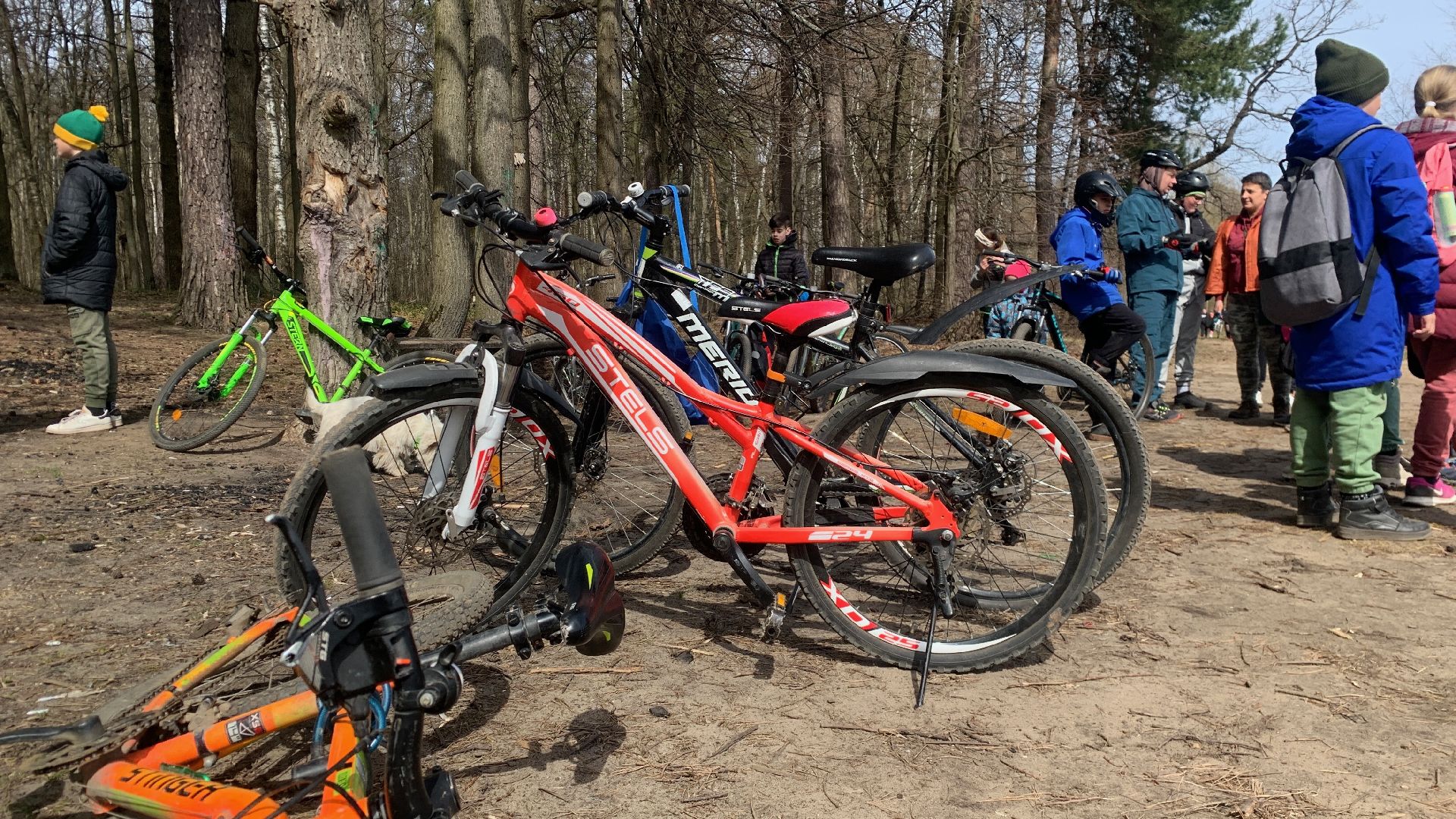 Ступино, островок, Зеленый остров, экология, инициативы